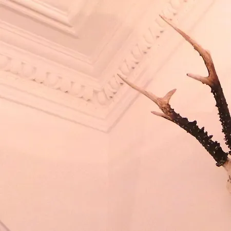 Antler Guest House-2
