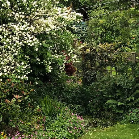 Ashdene House-2